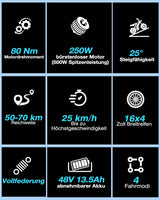 16" Fat Tyre Electric Bike for Adults, 48V 13.5Ah Removable Battery, 250W Motor, Dual Suspension E-Bike with LCD Display